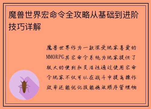 魔兽世界宏命令全攻略从基础到进阶技巧详解